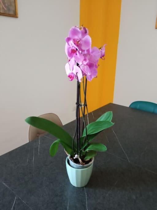 A Casa Di Gi Bed & Breakfast ปอร์โตตอร์เรส ภายนอก รูปภาพ
